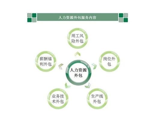 人力资源服务外包 企业转型升级的柔性引擎